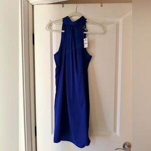 Express Royal Blue Backless Dress